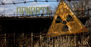 Czarnobyl: dziwne grzyby pochłaniają promieniowanie z reaktora. Naukowcy chcą to wykorzystać