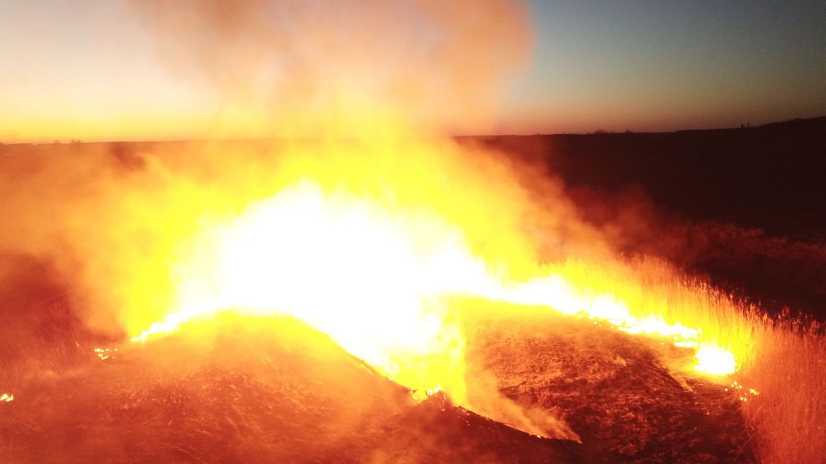 Pożar lasu w Czarnobylu wybuchł w sobotę.
