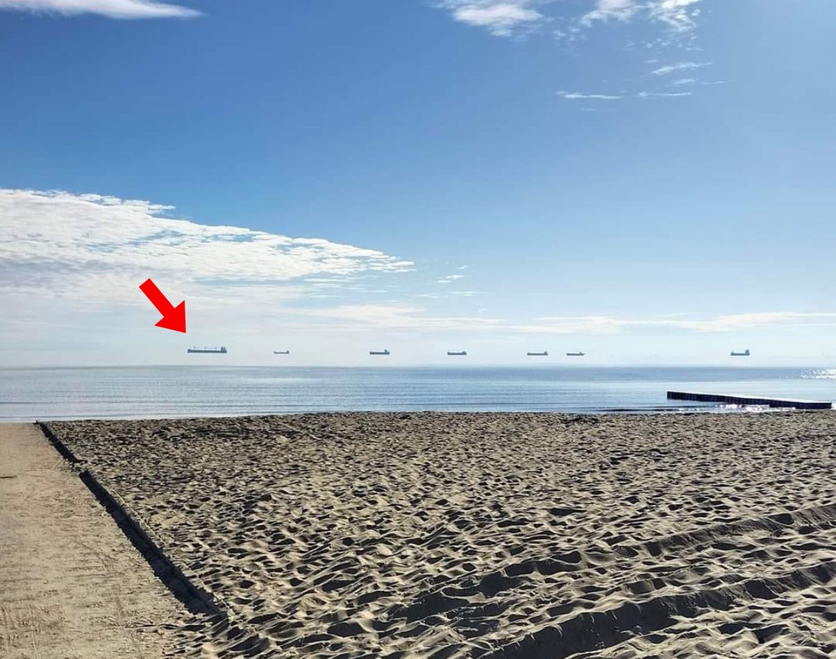 „Latające statki”. Spotkasz je spacerując po polskich plażach