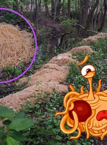 Latający potwór spaghetti wylądował? 200 kg makaronu porzucone w lesie