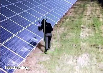 Zniszczył panele fotowoltaiczne. Nie spodziewał się konsekwencji. Grozi mu 10 lat