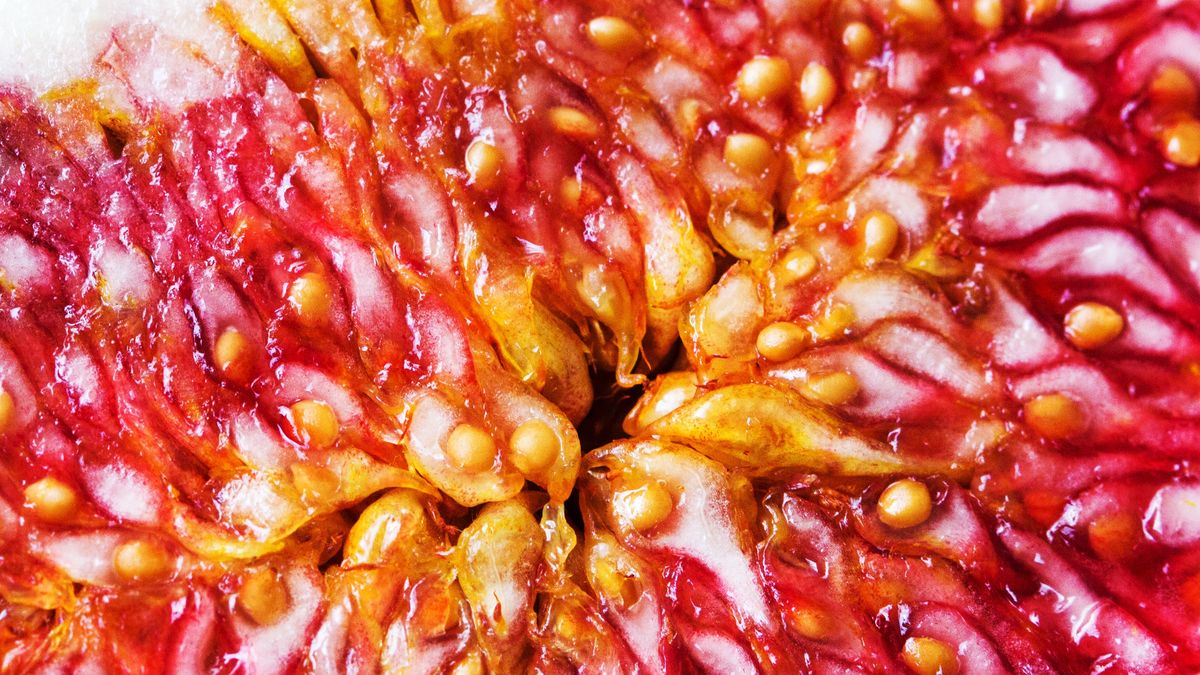 Figi są bogate w błonnik