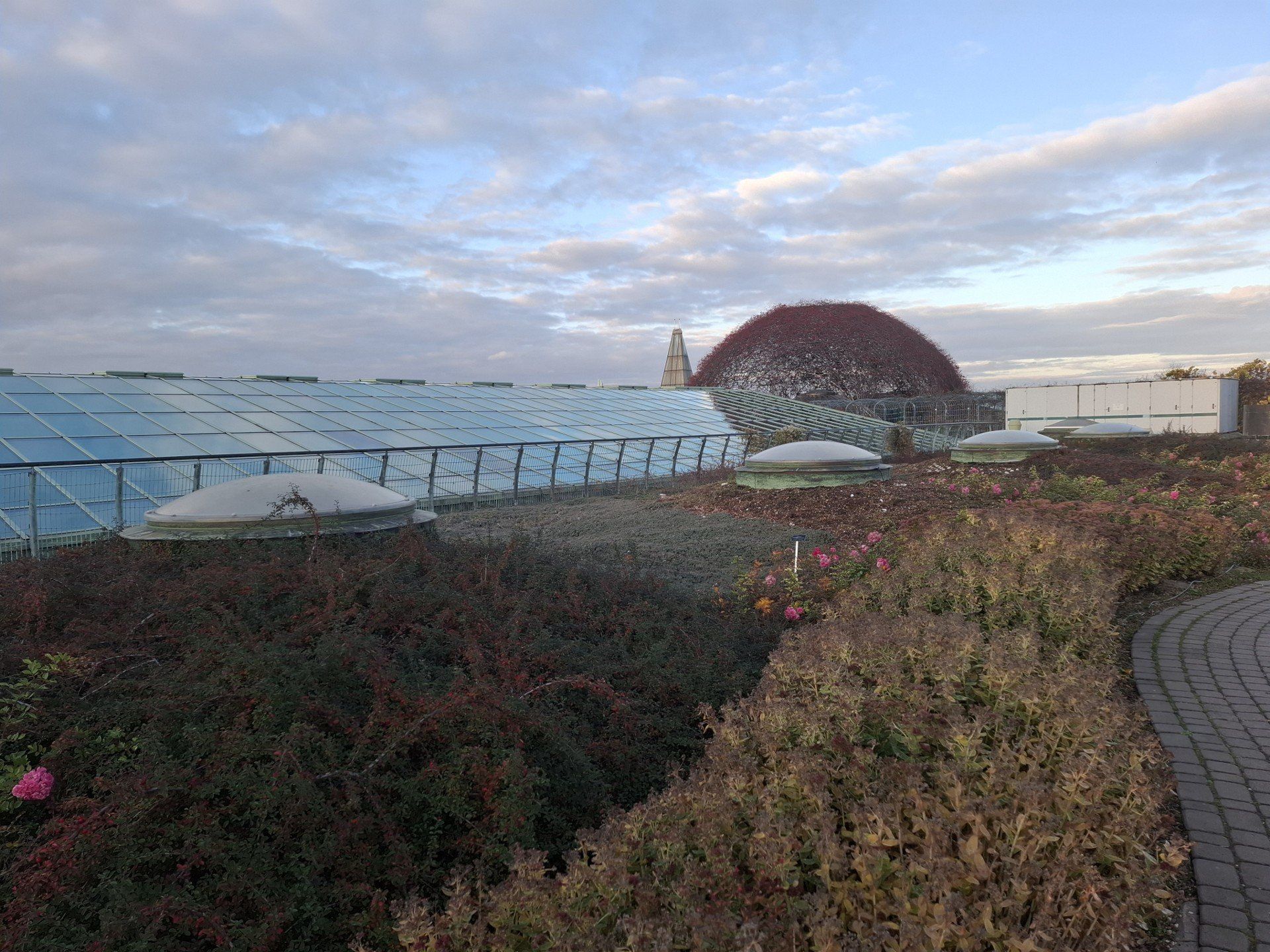 Jesień w Ogrodach BUW