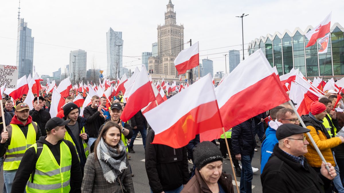 Polscy rolnicy po raz kolejny wyjdą na ulice Warszawy