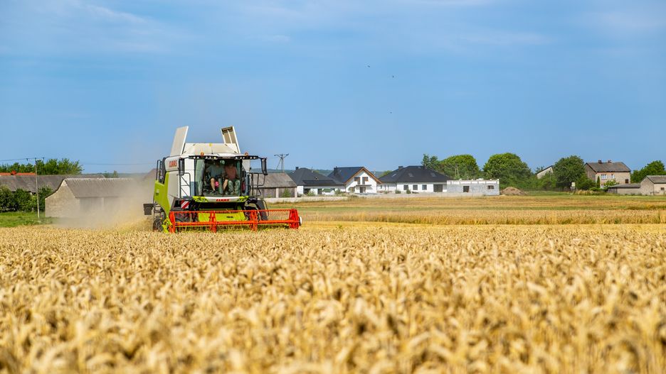 żniwa Claas / 2023