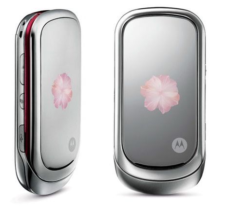 Motorola PEBL Rose Bloom dla Zakochanej