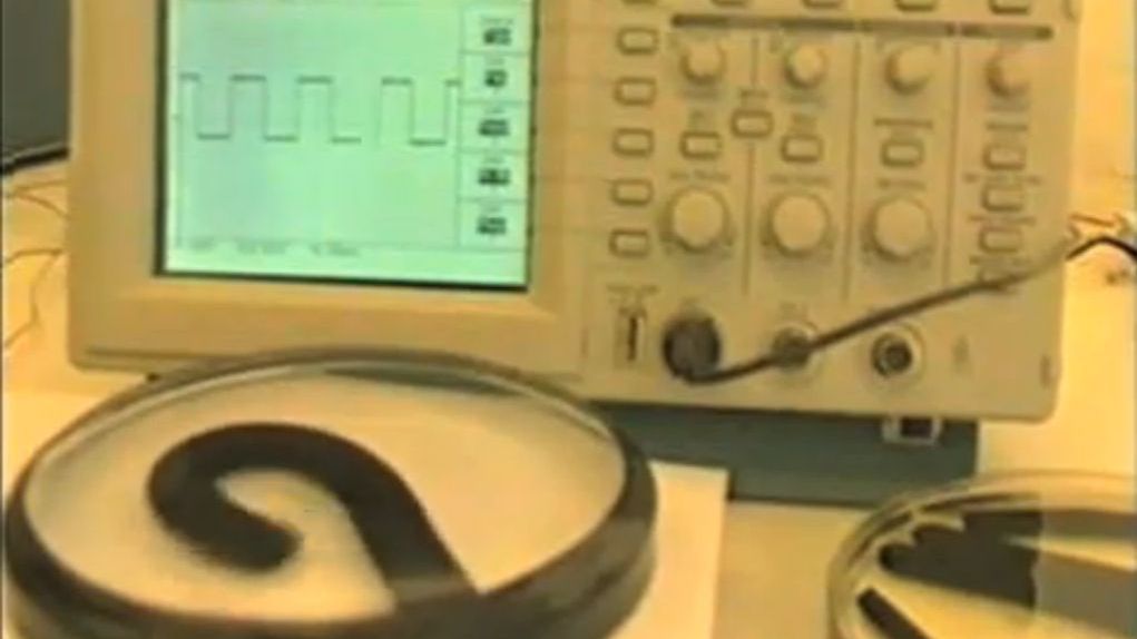 O krok od stworzenia sztucznych mięśni? [wideo] 1