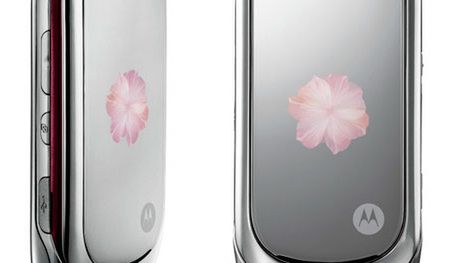 Motorola PEBL Rose Bloom dla Zakochanej 1
