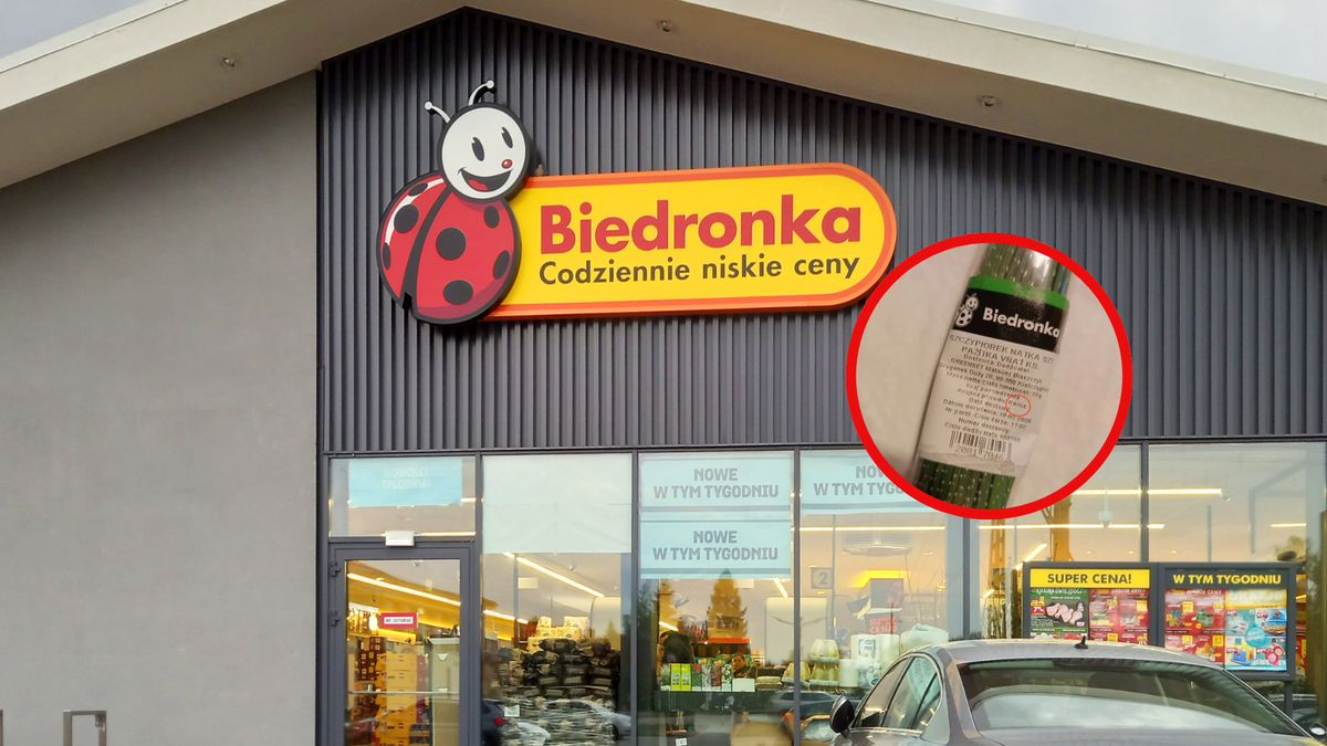 Kenijski szczypiorek w Biedronce