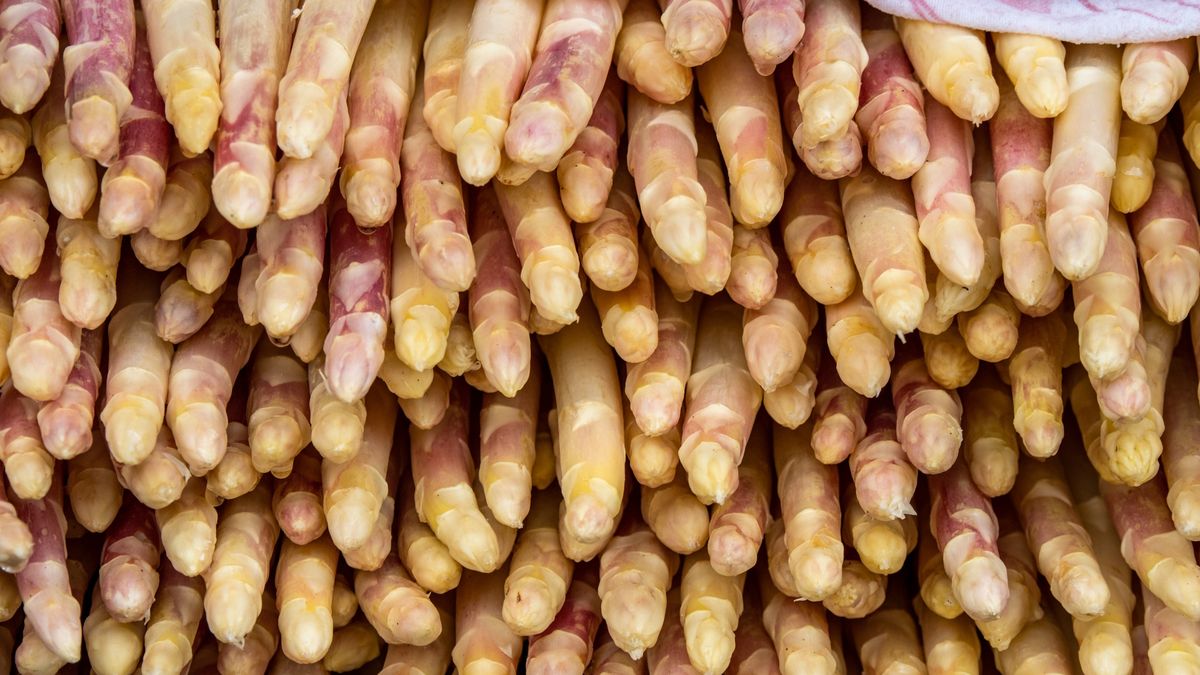 Szparagi mogą szkodzić stawom? Badania zaskakują