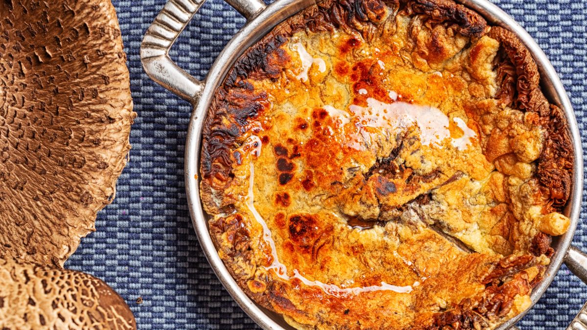 Rozłożyste kapelusze kani mogą zastąpić spód do pizzy