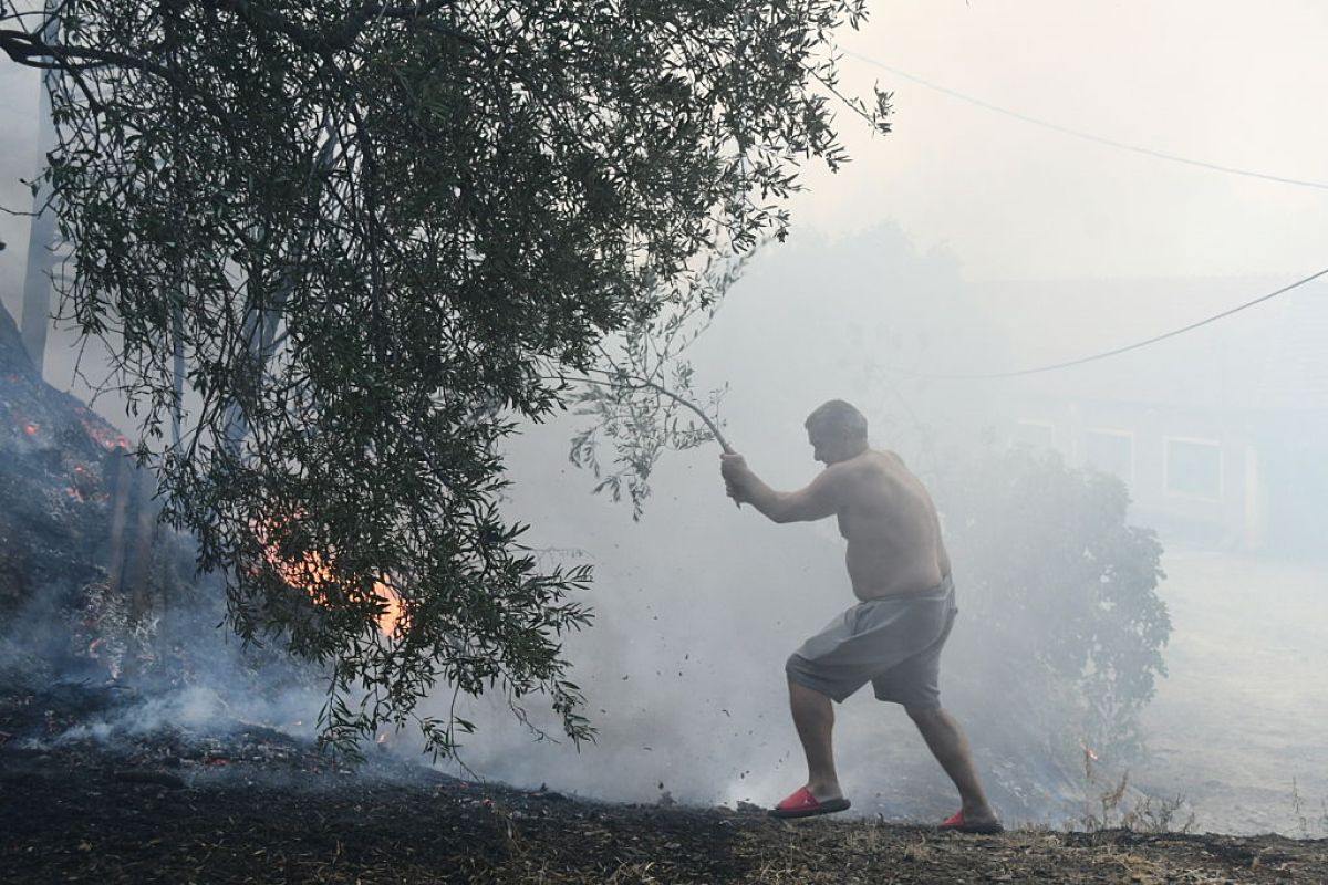 Gwałtowne pożary w Grecji. "To wygląda jak dzień Sądu Ostatecznego"
