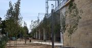 Kraków: Park pod estakadami kolejowymi w  końcu zaczyna wyglądać jak park. Robi się zielono! To już końcowy etap prac w tym miejscu