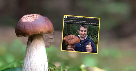 Ważył ponad kilogram. Pokazał zdjęcie borowika