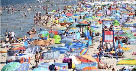 Po tragedii w Stegnie. Ratownik ujawnia, co usłyszał od pani z parawanem