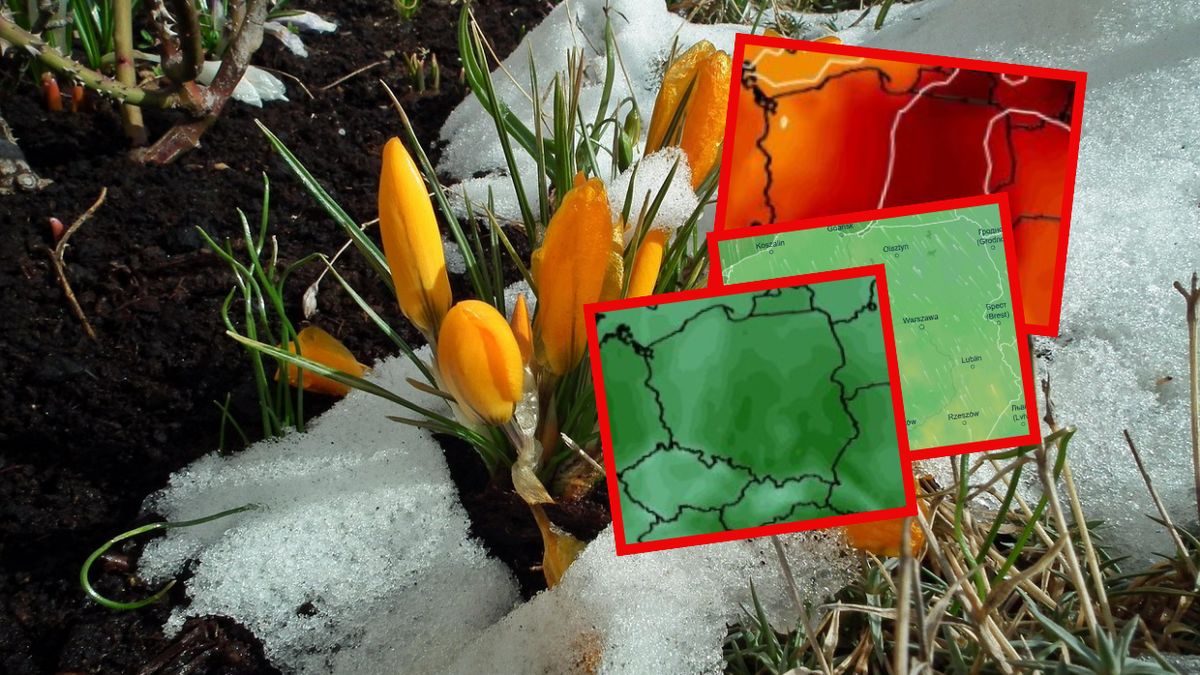 Cieplej z każdym dniem, przed nami tydzień wiosny