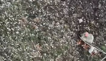 Wyjrzała przez okno. Skandaliczny widok. "Co można zrobić?"