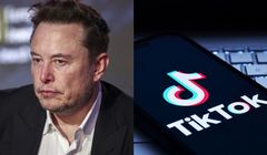 To Elon Musk może kupić TikToka w USA