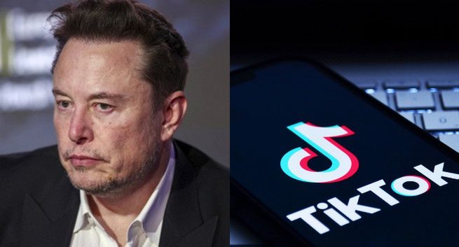 To Elon Musk może kupić TikToka w USA