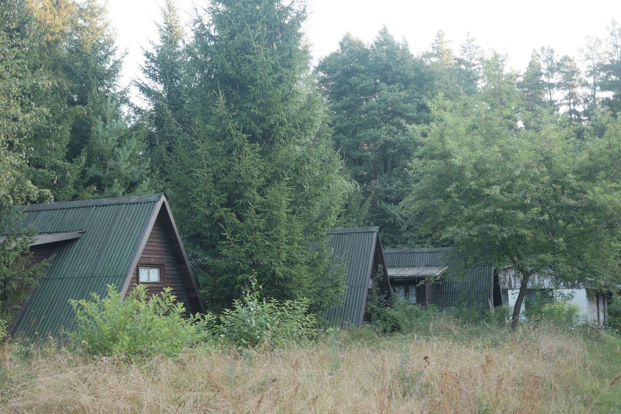 Warszawa. Porzucony mazurski raj. Tajemnicze znalezisko aktywistów