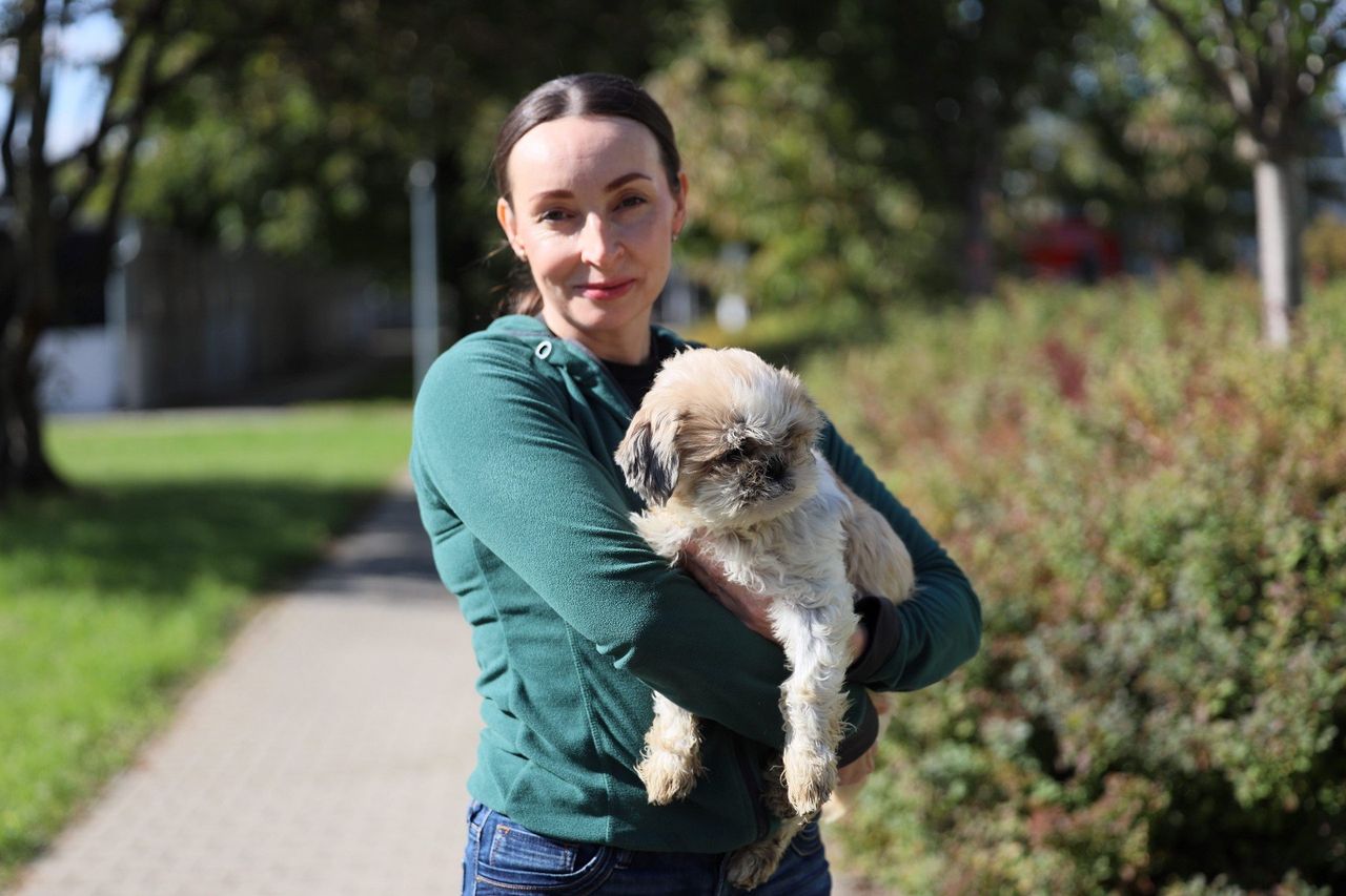 Lublin: Schronisko dla zwierząt otwiera drzwi. Najpierw wpuści mieszkańców, później nowego zarządzającego