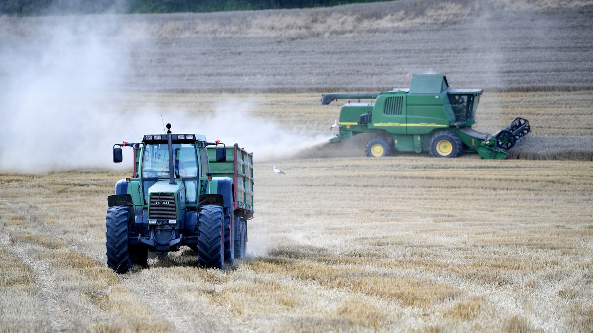 Ceny nawozów w górę. Kiepskie żniwa to początek kłopotów rolników