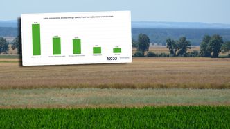 Samorządy biorą energetykę w swoje ręce. W okolicy Bełchatowa powstaje nowy klaster