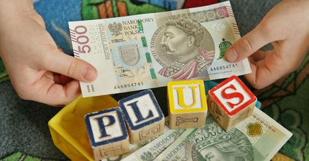Uszczelnienie 800+. Wiceministra: "Uczciwe będzie sprawdzenie"
