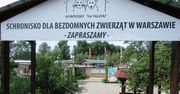 Warszawa: Kontrola NIK w schronisku "Na Paluchu". Najpierw skontrolują ratusz