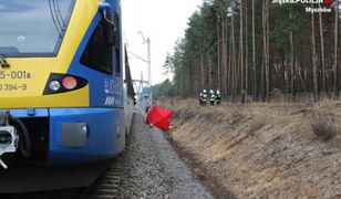 Śląskie. Tragedia na torach w Myszkowie. Pociąg śmiertelnie potrącił kobietę