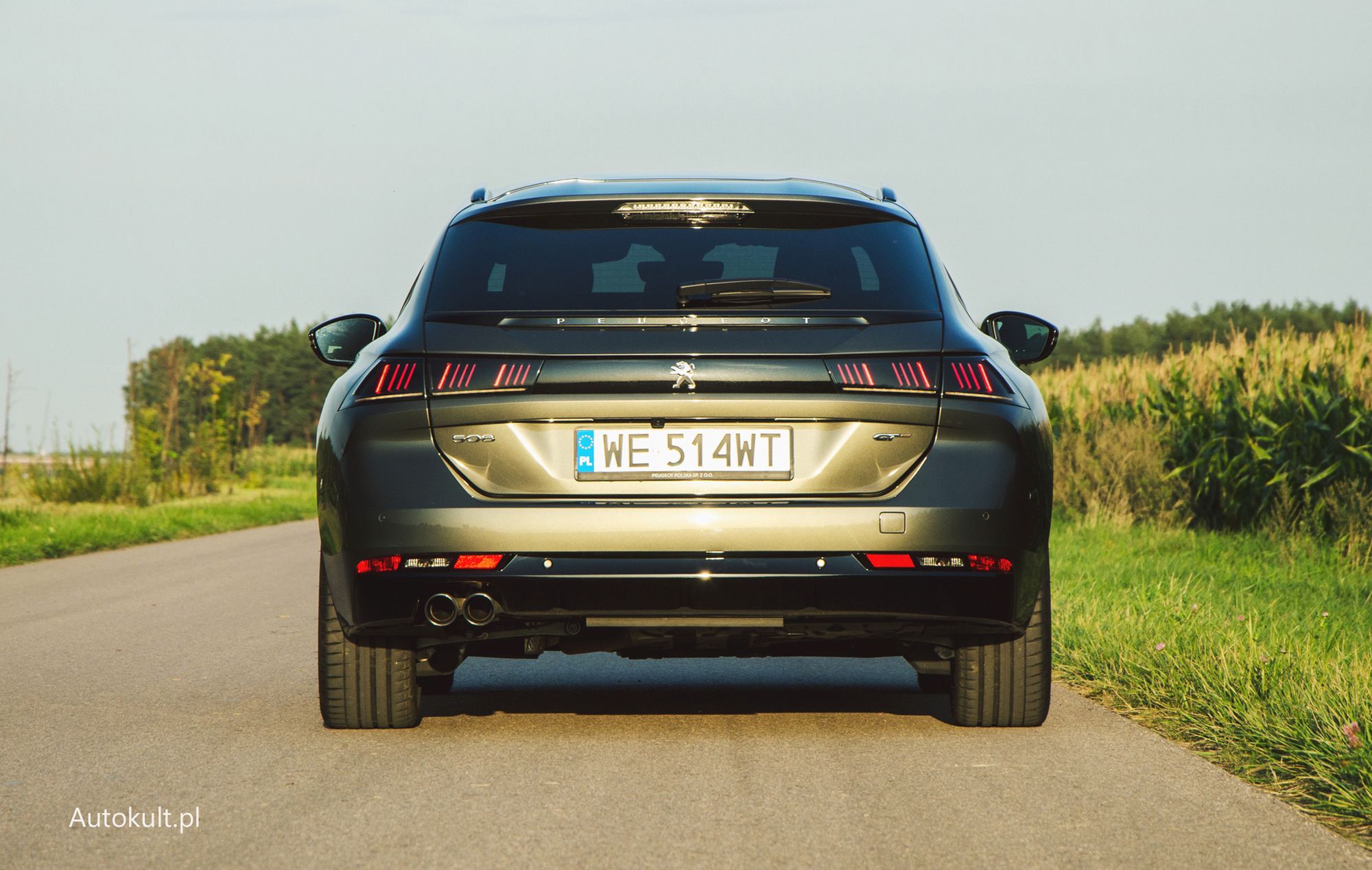 Z tyłu 508 SW wygląda jak auto sportowe