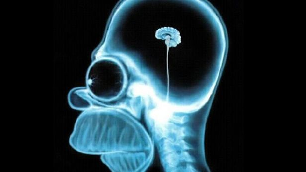 Ludzie są mniej inteligentni niż w XIX wieku. Czy to nowe technologie nas ogłupiają? 1