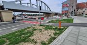 Gorzów: Będzie około 3,7 tys. nowych roślin oraz siedemnaście klonów.