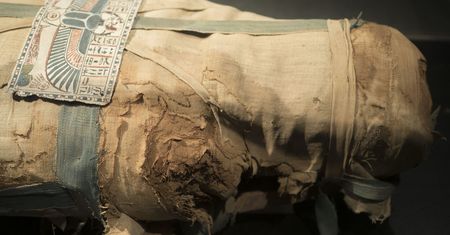 Archeolodzy zbadali dwie zaginione wśród zbiorów mumie. Nie należały do ludzi