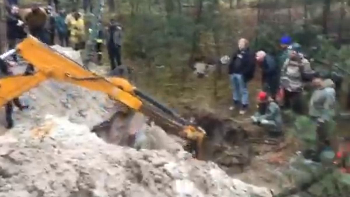 W środku lasu wykopano dziurę