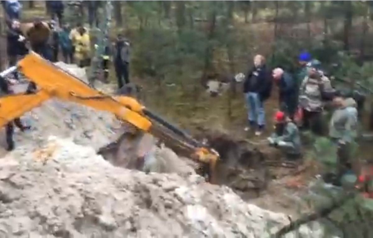 W środku lasu wykopano dziurę