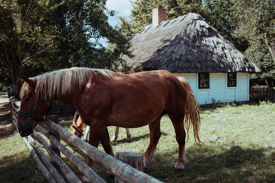 Muzeum Wsi Mazowieckiej w Sierpcu 