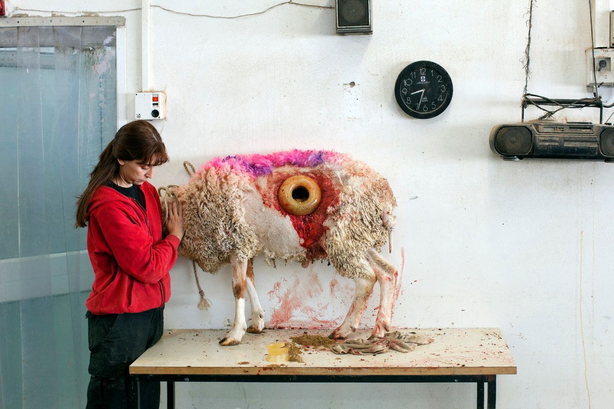 Martin Kollar zwyciężył w konkursie Leica Oskar Barnack Award 2014 [galeria] 3