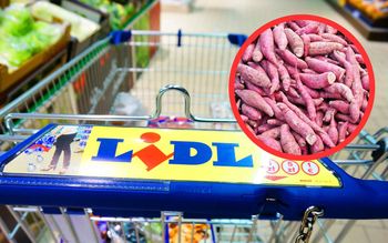 Tylko dziś niskokaloryczna bulwa promocji w Dino i Lidlu. Zrób z niej obiadową zapiekankę lub ciasto