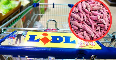Tylko dziś niskokaloryczna bulwa promocji w Dino i Lidlu. Zrób z niej obiadową zapiekankę lub ciasto