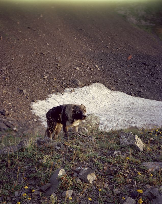 Grand Press Photo 2020: Najbardziej prestiżowe nagrody prasowe w Polsce rozdane 90