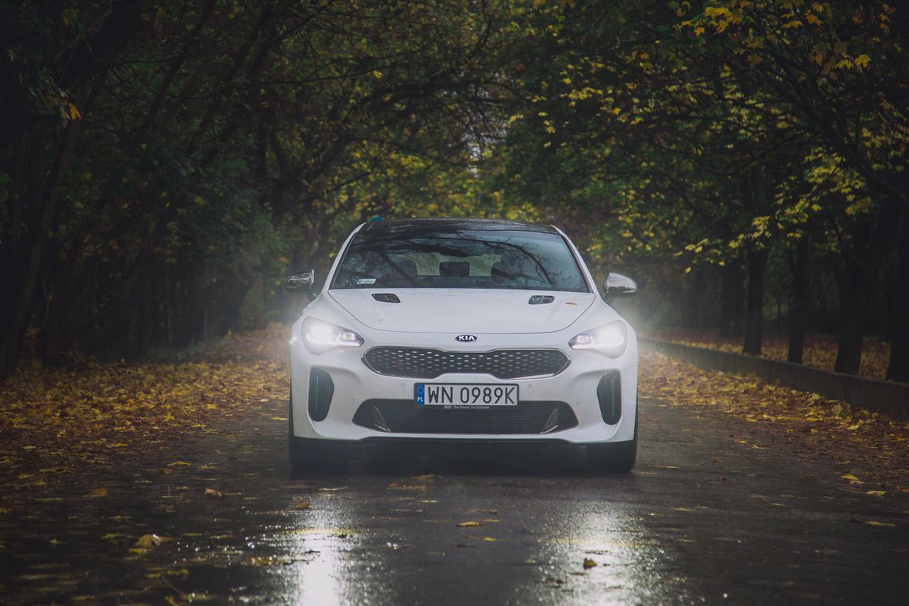 Kia Stinger i Kia Stinger GT będą służyły w polskiej policji