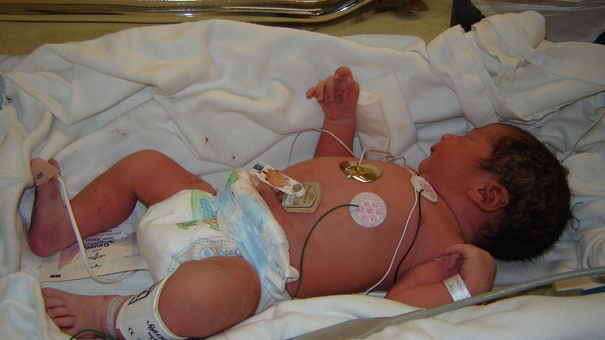 Zdjęcie ilustracyjne.