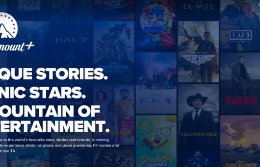 Paramount+ i zagraniczne DAZN w Polsce? Europosłanka PiS zabiega o zniesienie ograniczeń