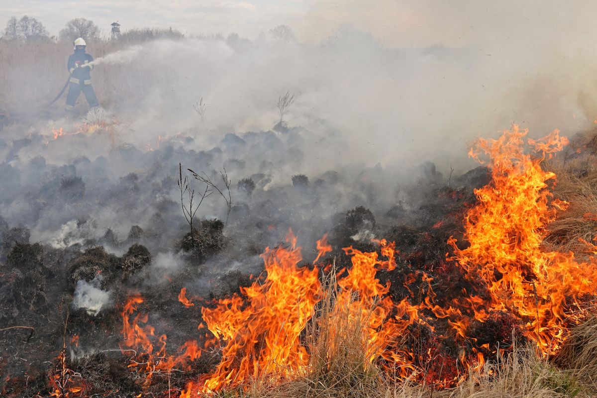 Pożar w Biebrzańskim Parku Narodowym. "Ochotnicy dniem i nocą walczą z narażeniem życia"