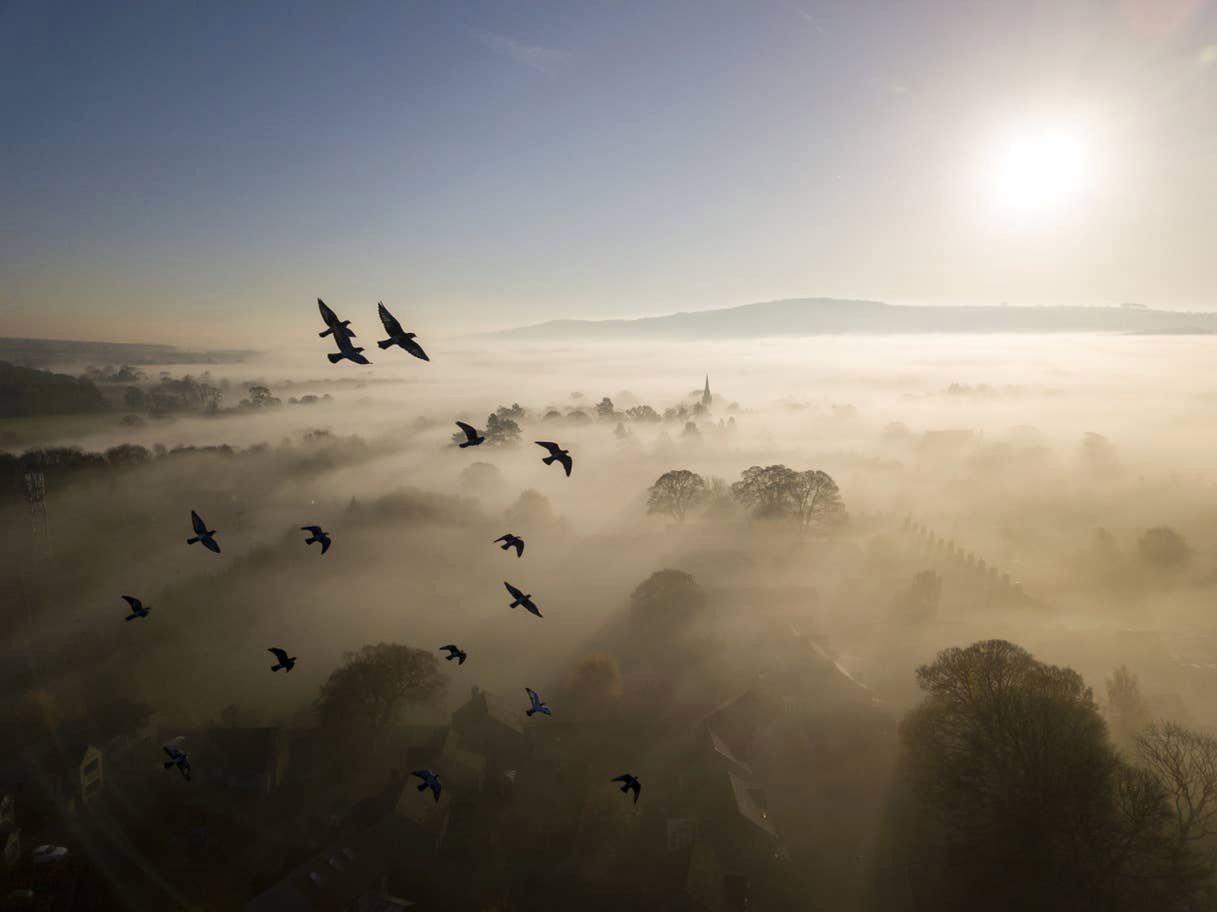 British Wildlife Photography Awards 2019: zdumiewające zdjęcia przyrody 4