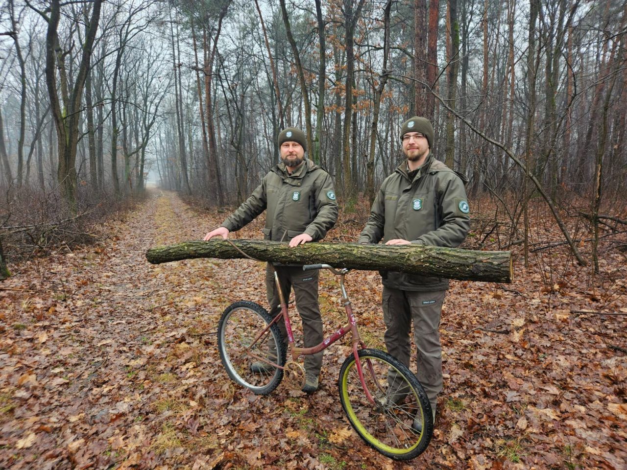 Nietypowa kradzież drewna w Nadleśnictwie Puławy. Sprawca miał specjalny sprzęt