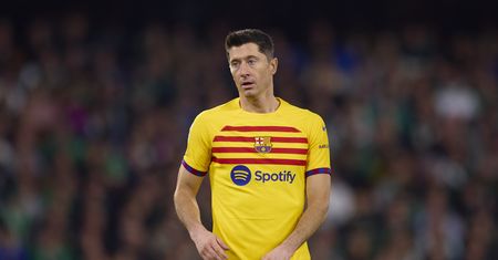 Ekspert od komunikacji uderza w Lewandowskiego. Wystarczył jeden wpis