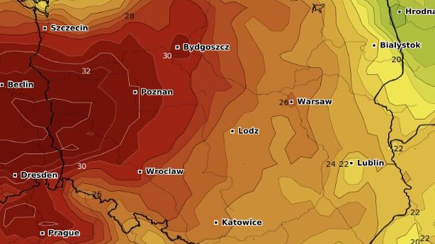 "Hiszpański pióropusz" już nad Polską 