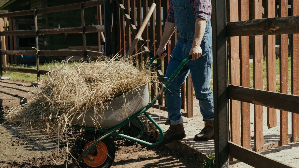 Rolnik przyłapał żonę na zdradzie. Ma trafić do więzienia